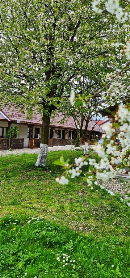 Săpînţa La Romaneasa מראה חיצוני תמונה
